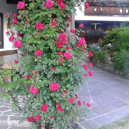 Hattenhof Schwoich